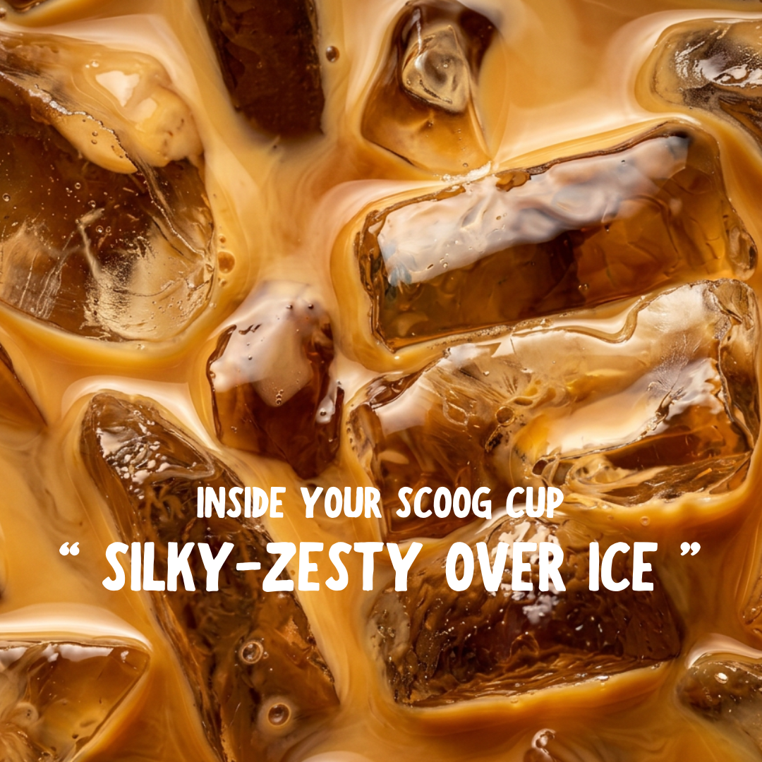 "Choco Zest Instant Coffee — Close Up"